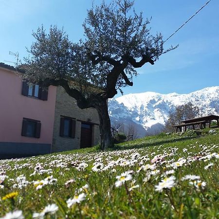 La Via Del Parco Villa Arsita ภายนอก รูปภาพ