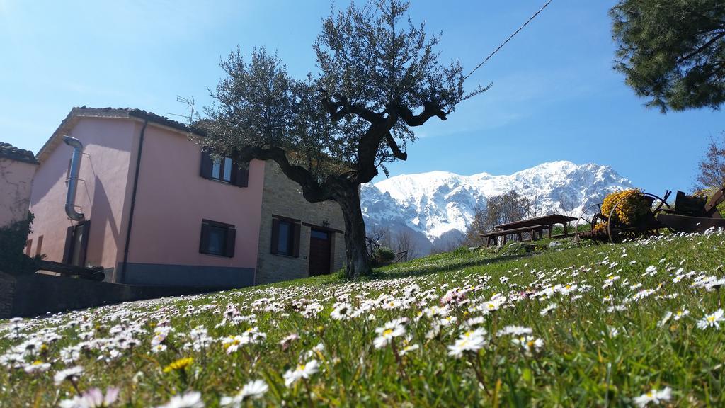 La Via Del Parco Villa Arsita ภายนอก รูปภาพ